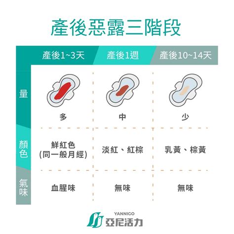 產後不能吃什麼|生產後不能吃什麼？坐月子飲食營養｜2024最齊全哺 